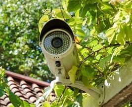 В отремонтированных парках кубанской столицы поставят видеокамеры для защиты от варваров Город Краснодар camera.jpg