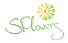 SFlowers - Город Краснодар logo.gif