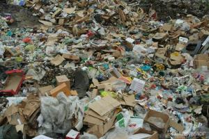 При помощи чего можно разрешить острейшую проблему переработки отходов и мусора? 1.jpg